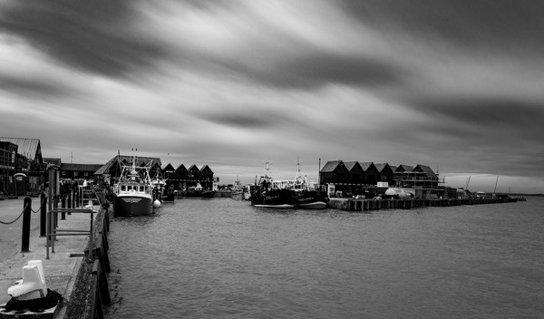 L1000980bw.jpg