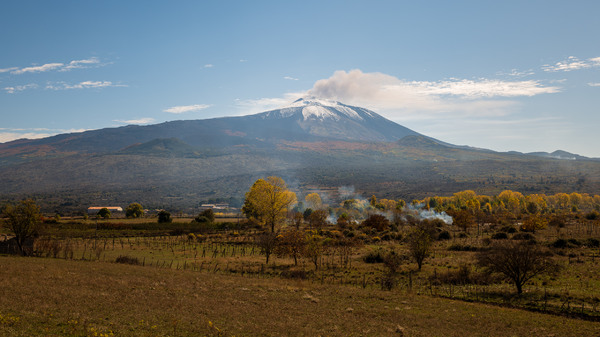L1010156.jpg