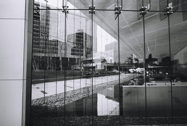 1442847_1442847-R1-E002.jpg