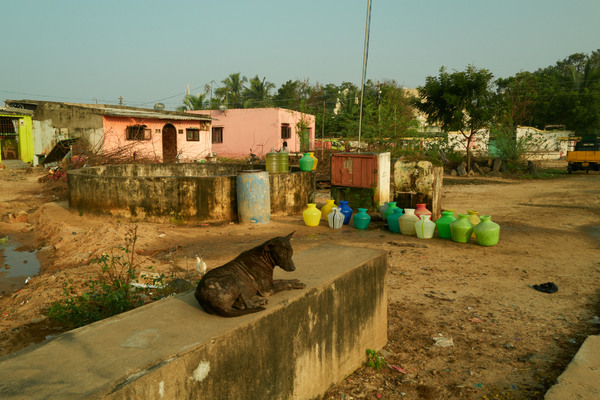 L1000467.jpg