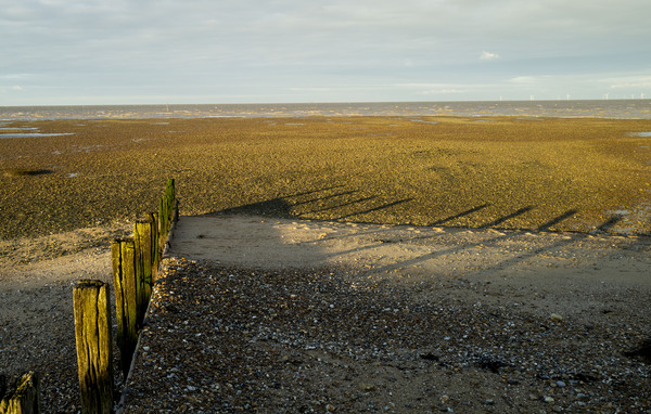 L1020268.jpg