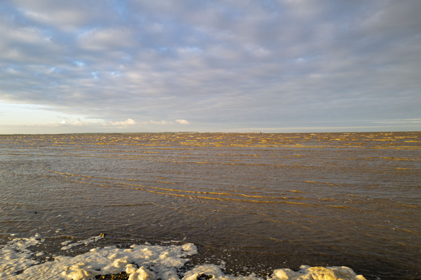L1020273.jpg