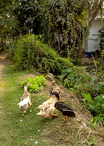 L1020145-Edit.jpg