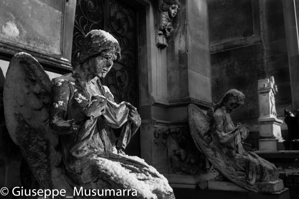 _DSC5259bw