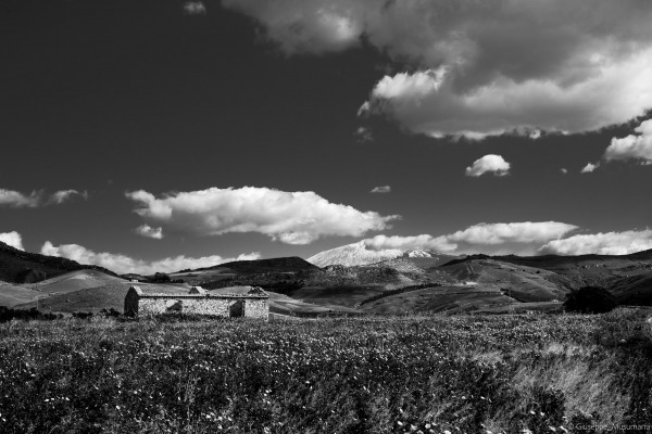 _DSC9685
