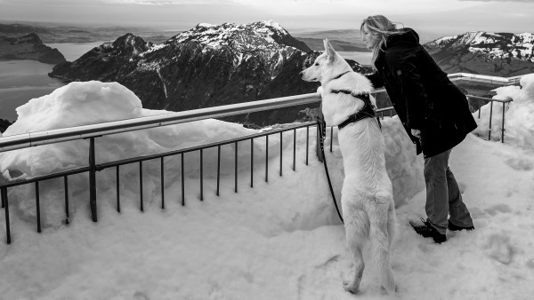 L1000227-1 Kopie