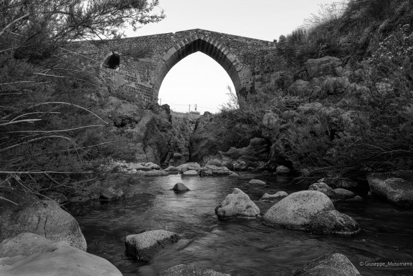 L1020018-bw.jpg