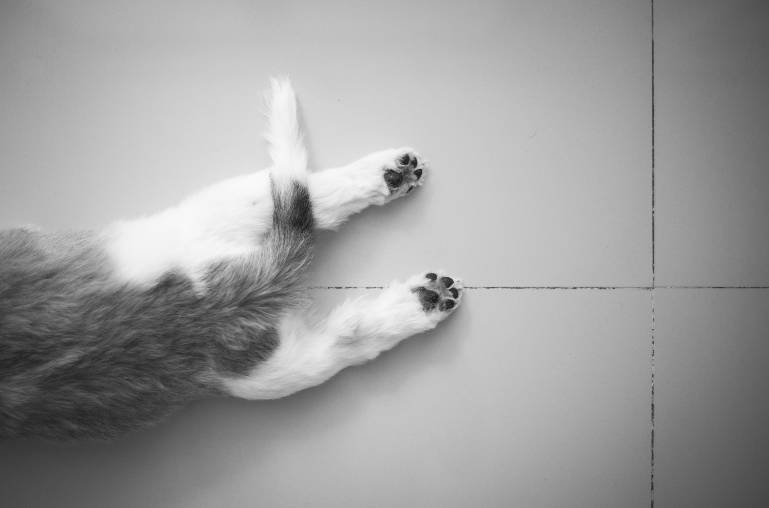 Light Lens Lab v2LC 35mm f2 Summicron Copy Leica M Lenses Leica Forum