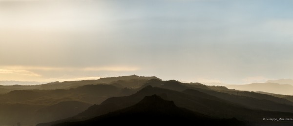 L1000226.jpg