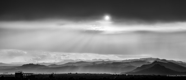 L1000245-2