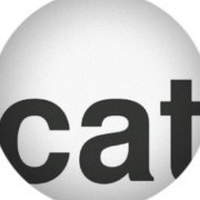 CelciusCat