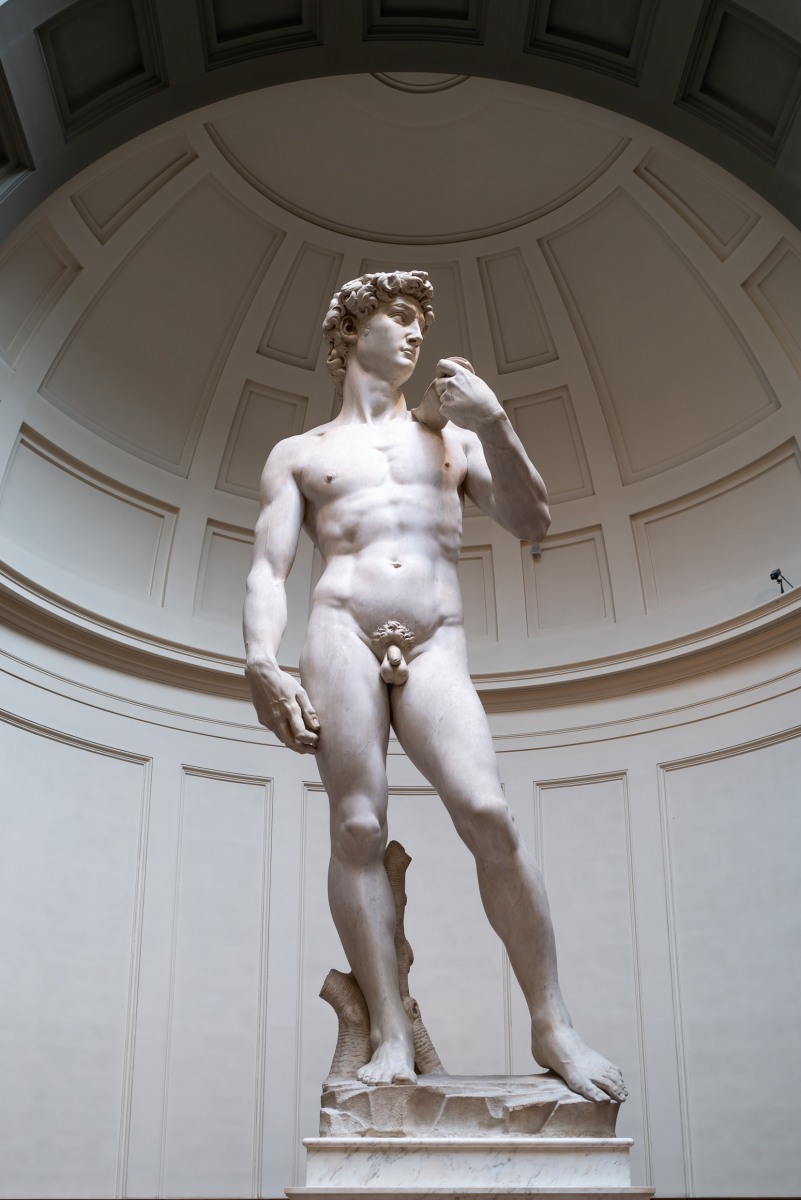Michelangelo's David Michelangelo's David