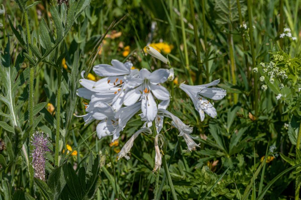 20220526_009 Engersch.jpg