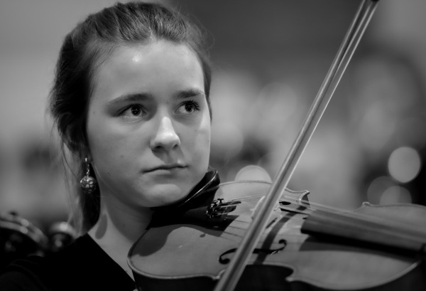 Violine.jpeg