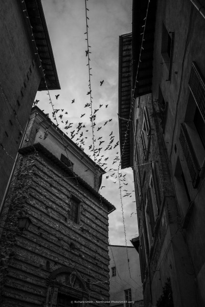 Montepulciano natale 2019 15 (1 of 1).jpg