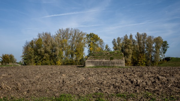 LM101349.jpg