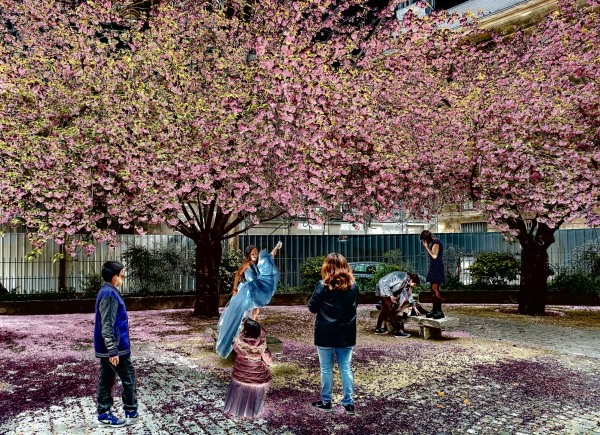 Tourists in Paris springtime