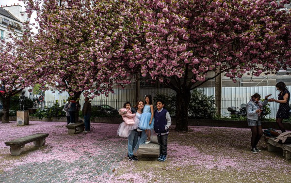 Paris in the Spring-4.jpg