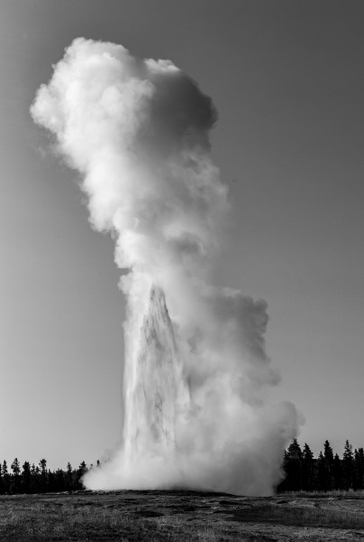 L1019389.jpg