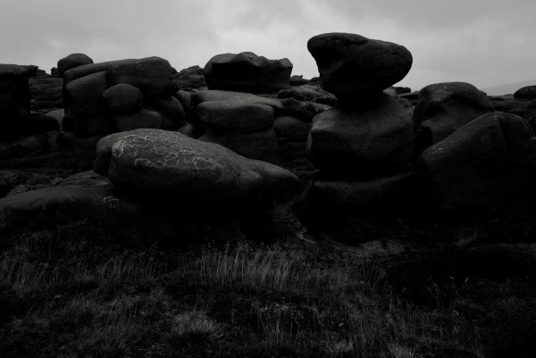 A7EF0AC7-413E-4BAE-989E-0BED35C58652