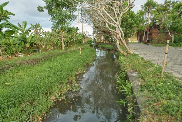 L1004183.jpg
