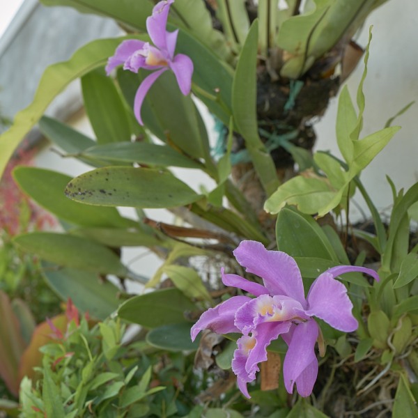 L1004192.jpg