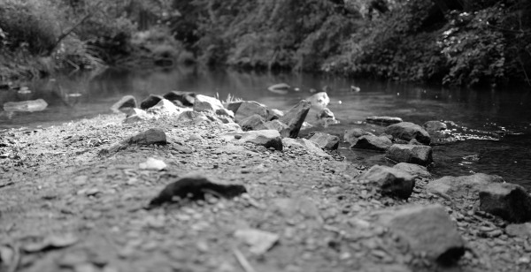 Leica_Q_Stones_Water.jpg