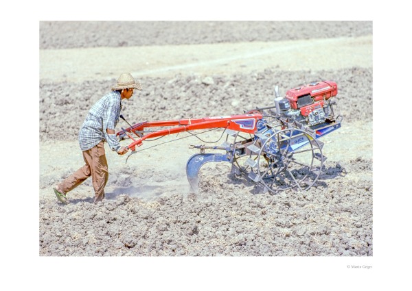 Farmer.jpg