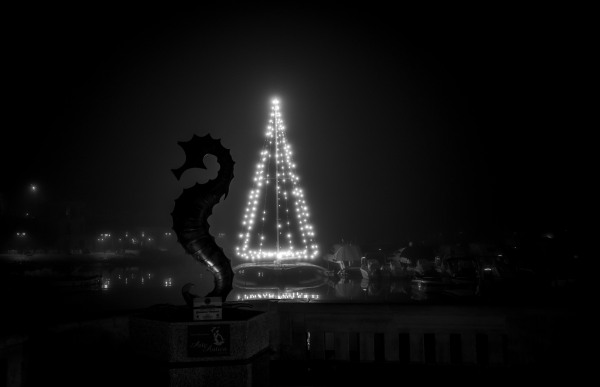 L1006084.jpg