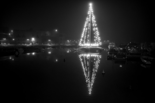 L1006115.jpg