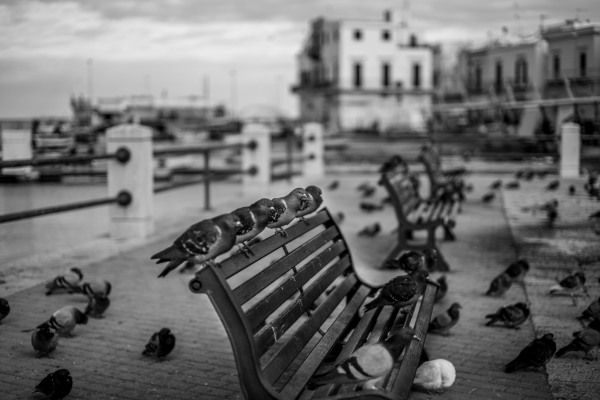 L1006315.jpg