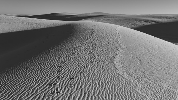 L1003899.jpg