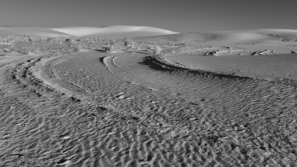 L1003911.jpg
