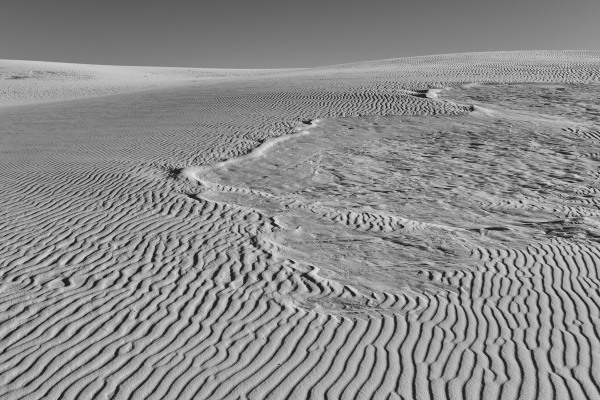 L1003920.jpg
