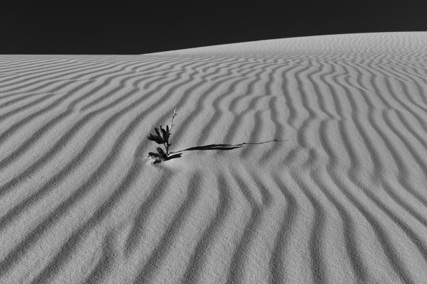 L1003927.jpg