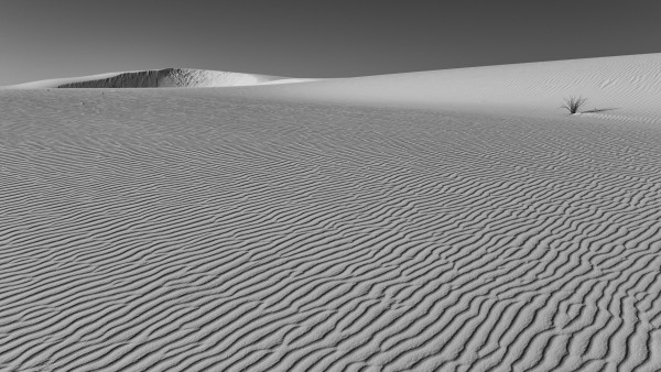 L1003936.jpg