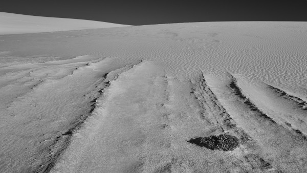 L1003955.jpg