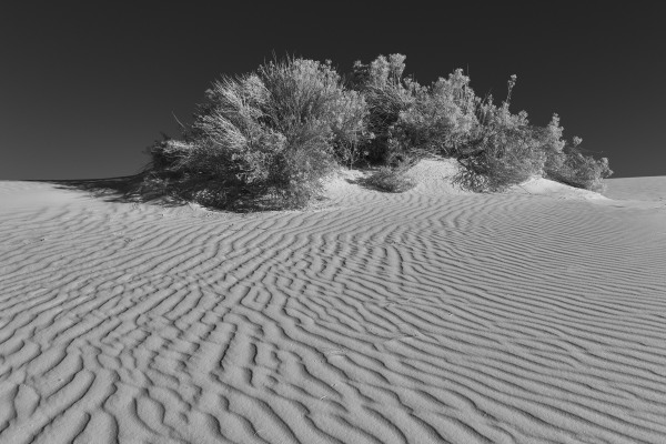 L1003966.jpg