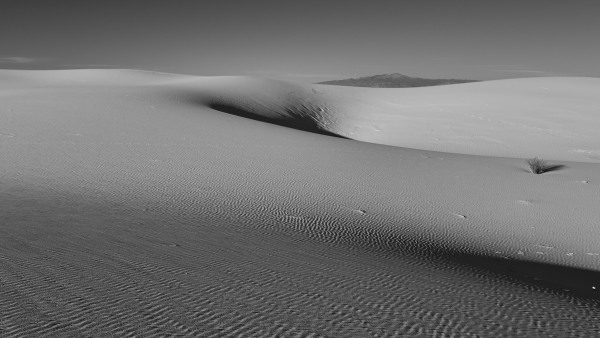 L1003973.jpg