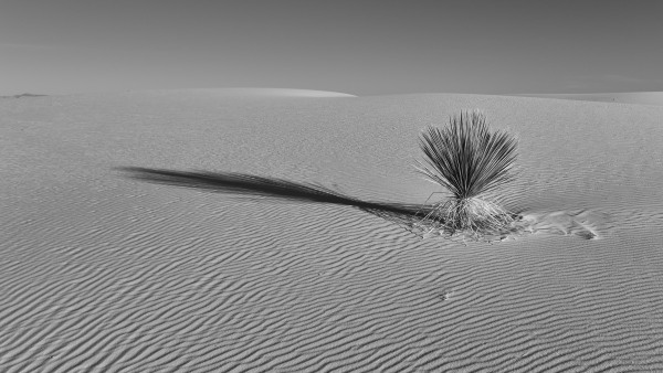 L1003984.jpg