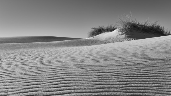 L1003986.jpg