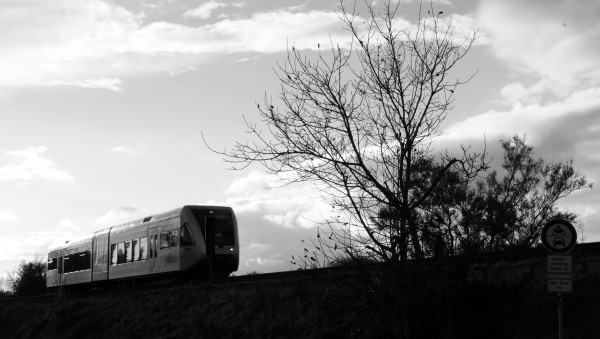 L1001282.JPG