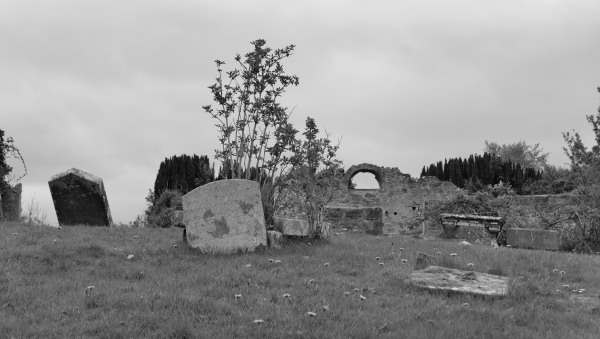L1011983.JPG