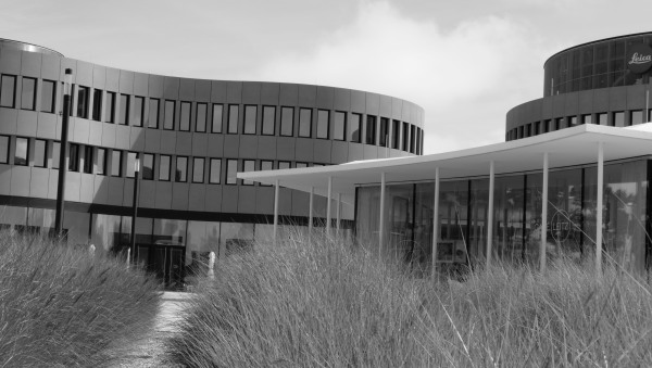 L1000434.JPG