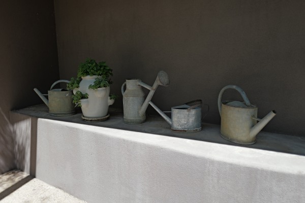 L1010194.JPG