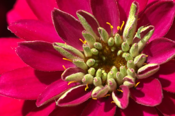 P1083344.jpg