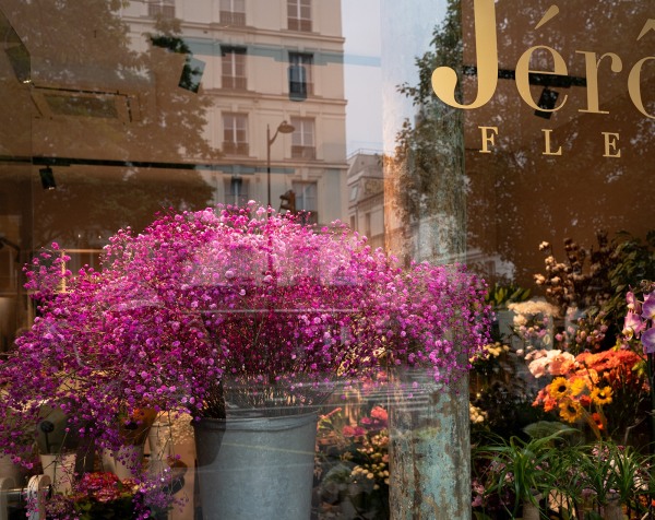 window paris crop.jpg