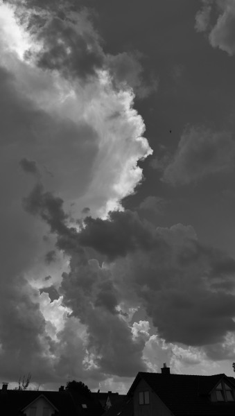 L1022540.JPG