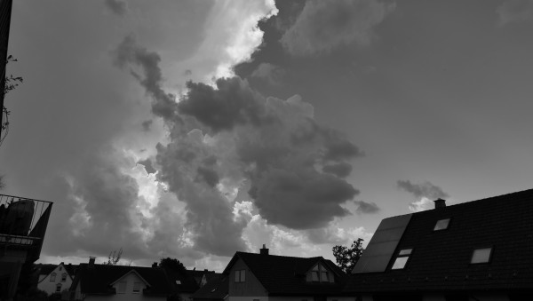 L1022541.JPG