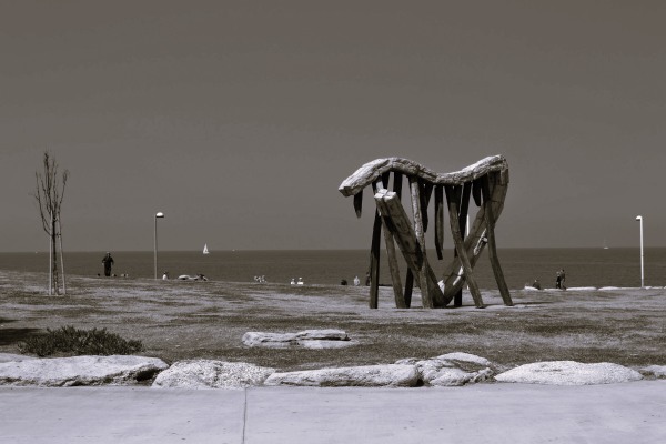 DSC_1959.1
